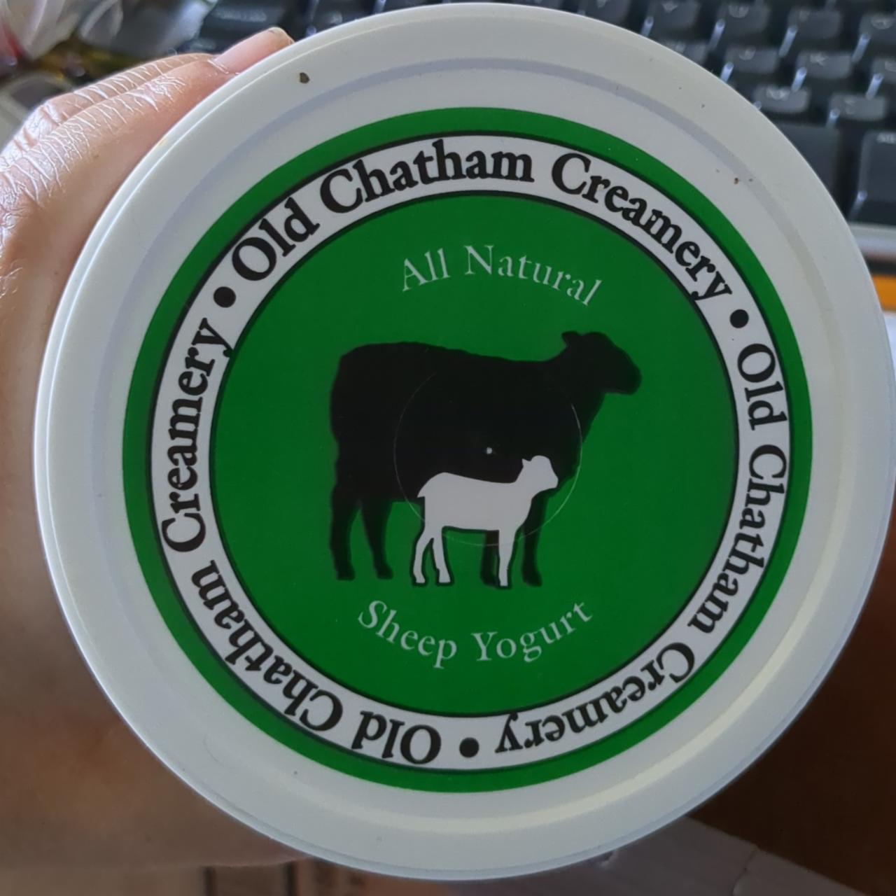 Fotografie - All natural Sheep yogurt Old Chatham Creamery