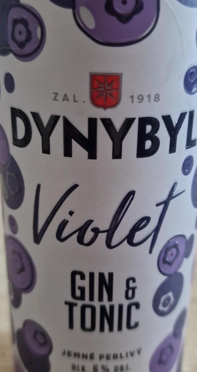 Fotografie - Dynybyl Violet gin & tonic