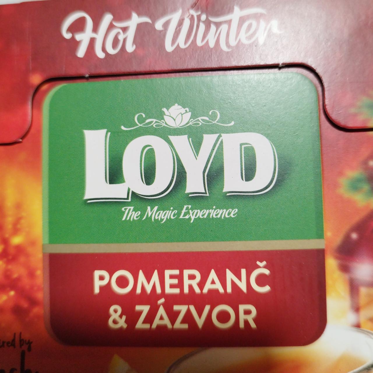 Fotografie - Hot Winter Pomeranč & zázvor Loyd