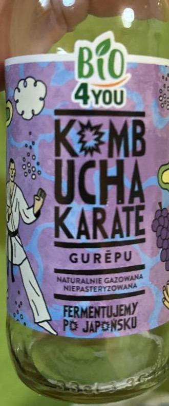 Fotografie - Kombucha karate gurepu Bio4You