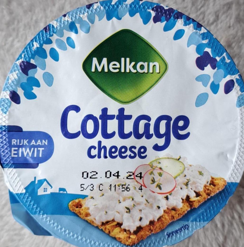 Fotografie - Cottage cheese Melkan