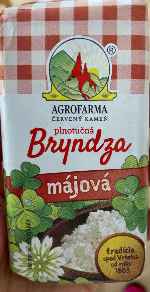 Fotografie - Bryndza májová plnotučná Agrofarma