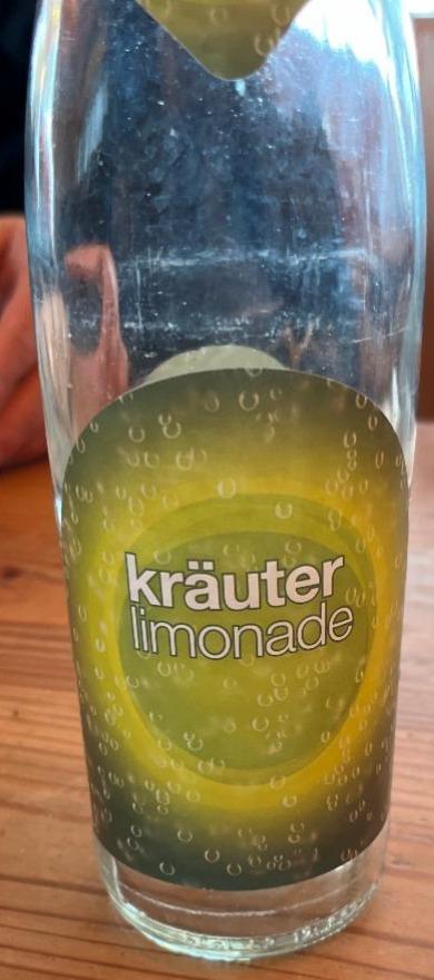 Fotografie - Kräuter limonade