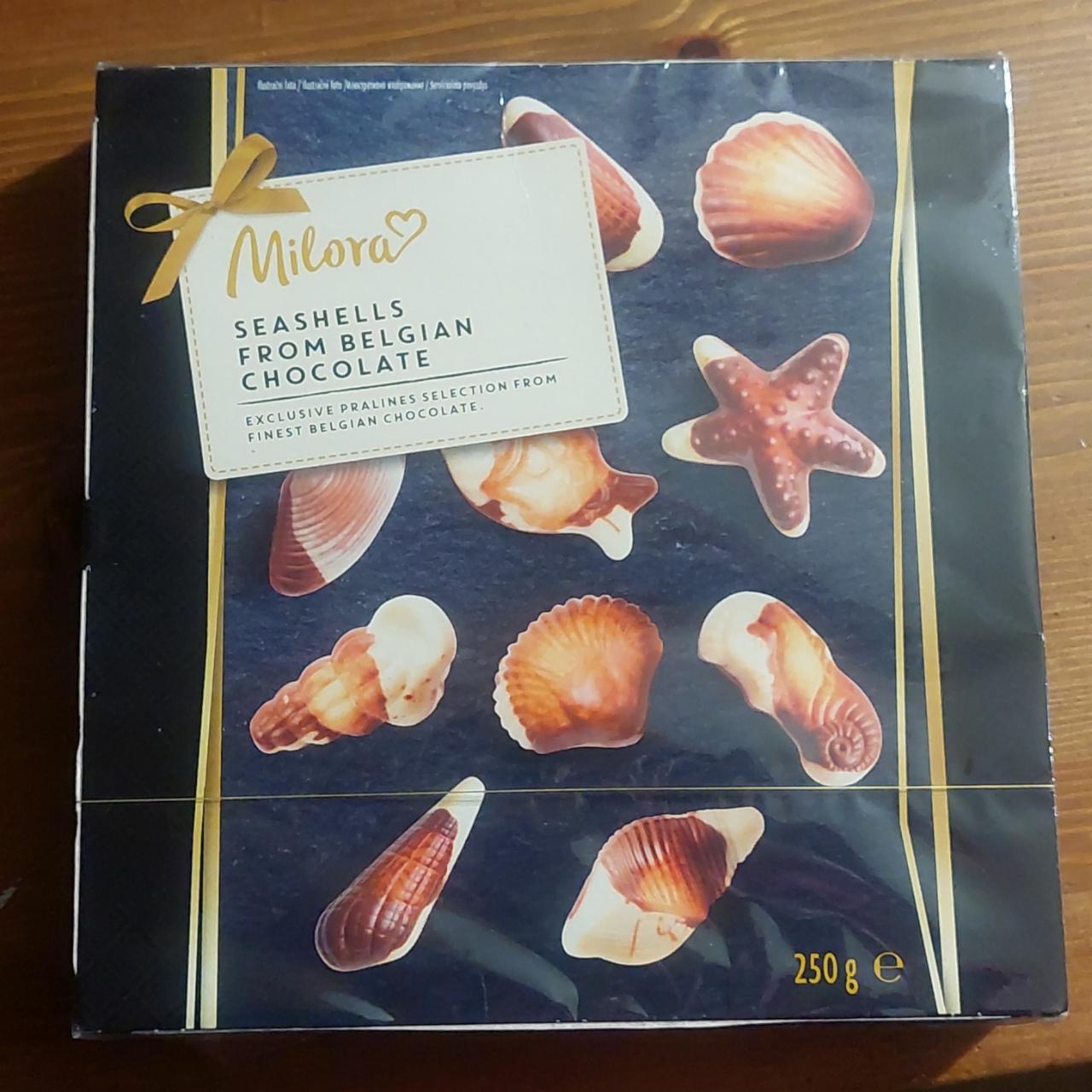 Fotografie - Seashells from Belgian Chocolate Milora