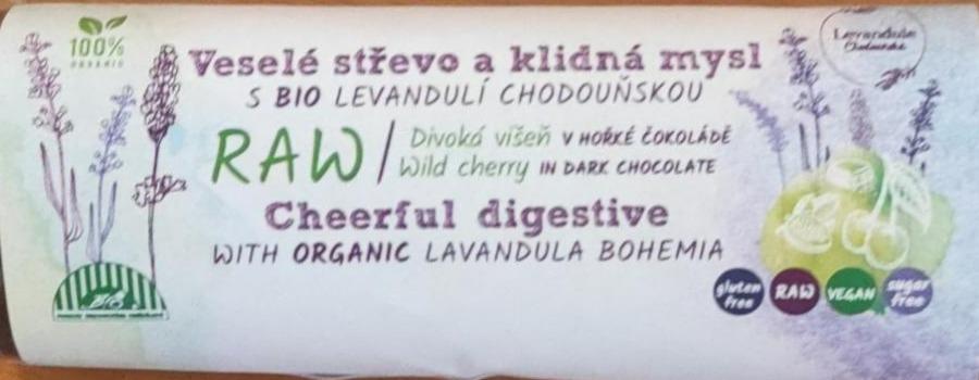 Fotografie - RAW tyčinka Divoká višeň v hořké čokoládě Levandule Chodouňsko