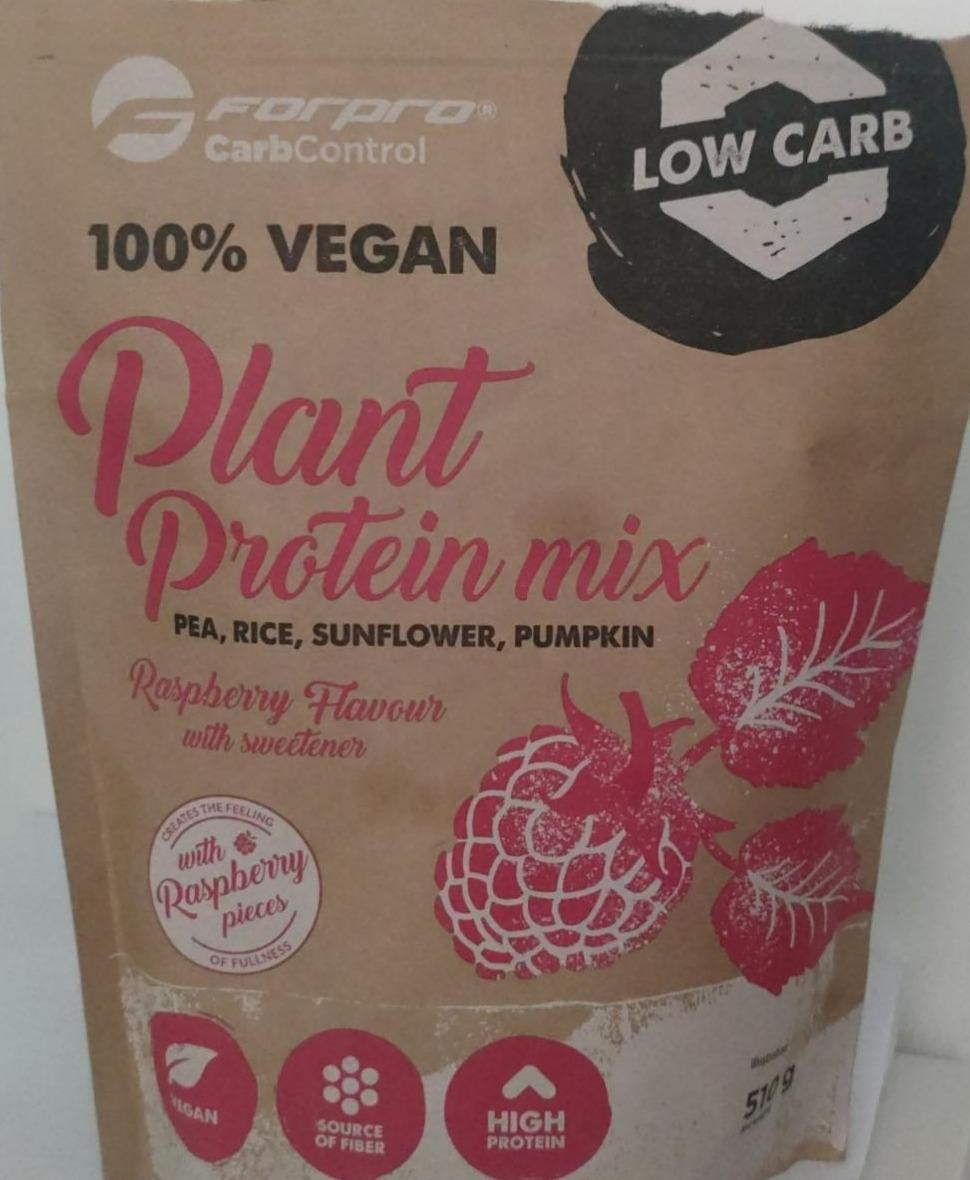 Fotografie - Plant Protein mix Raspberry Flavour Forpro