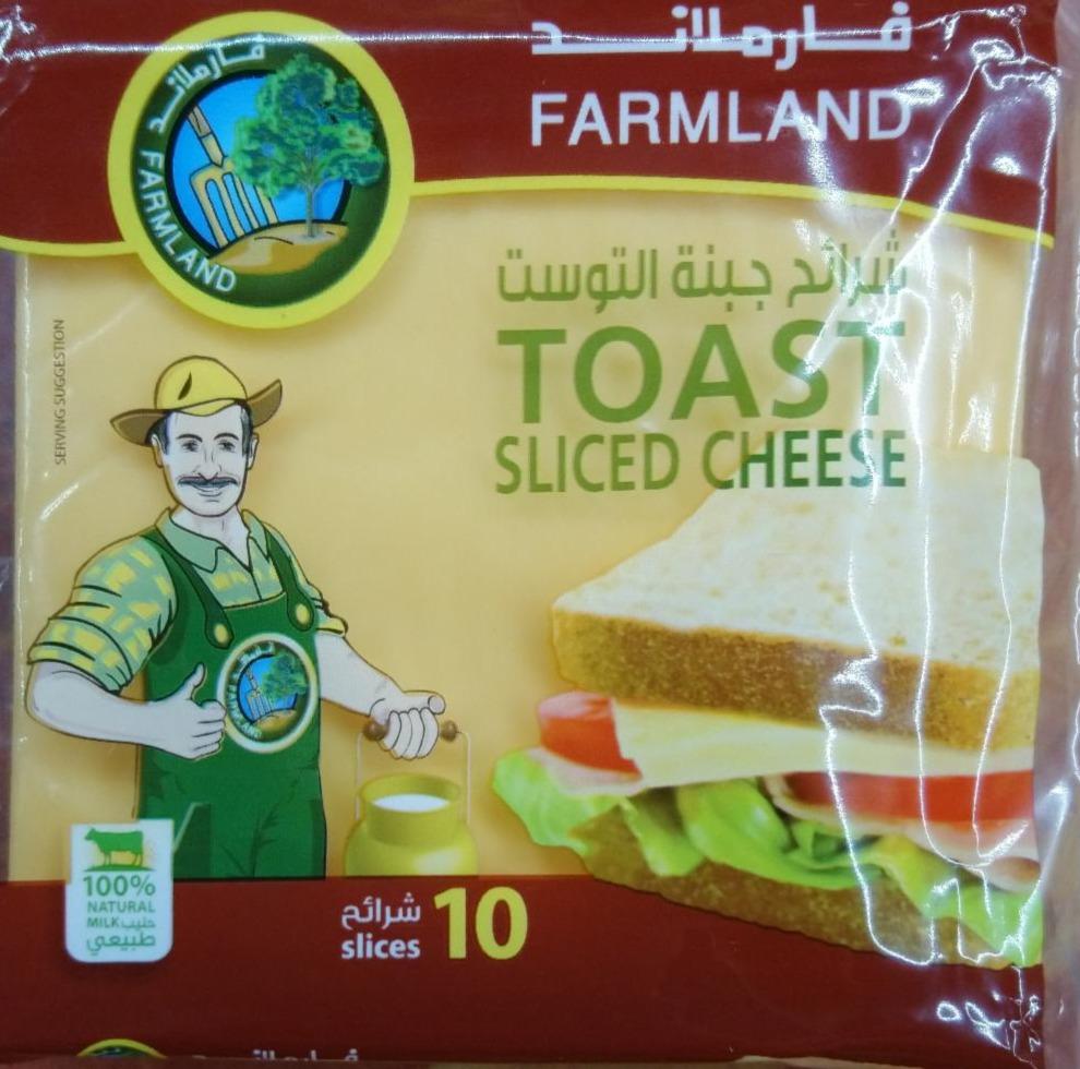 Fotografie - Toast sliced cheese Farmland