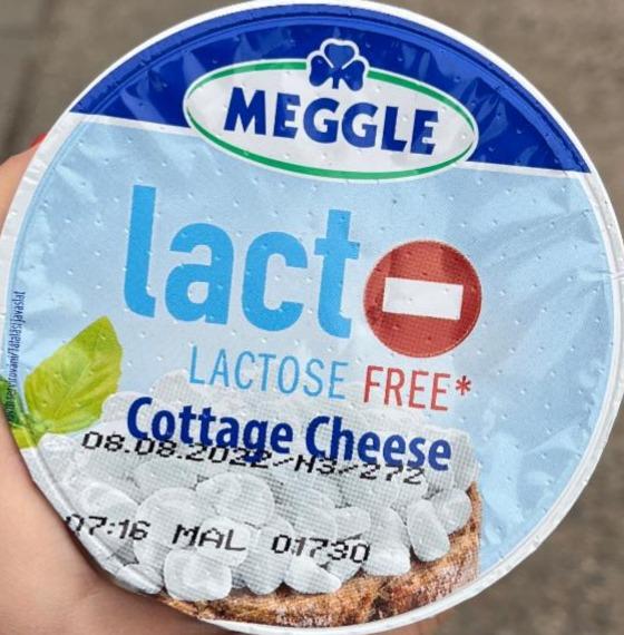 Fotografie - Lacto- Lactose free Cottage Cheese Meggle