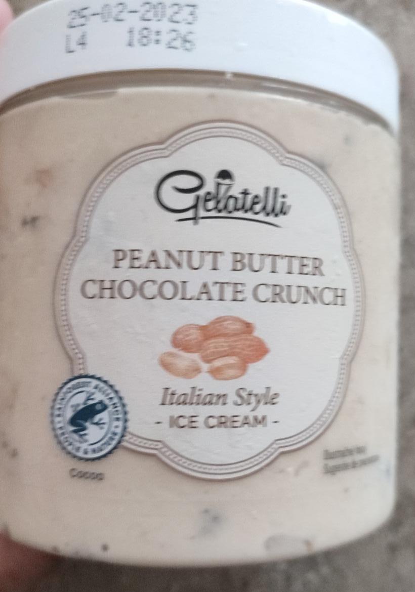 Fotografie - Peanut buttet milk chocolate crunch ice cream Gelatelli