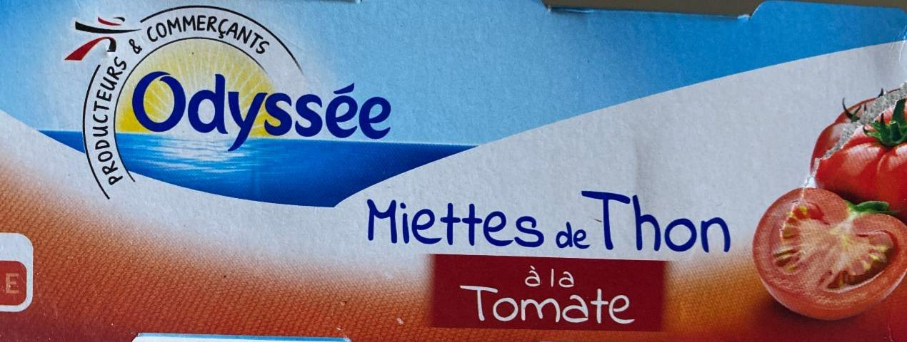 Fotografie - Miettes de Thon à la tomate Odyssée