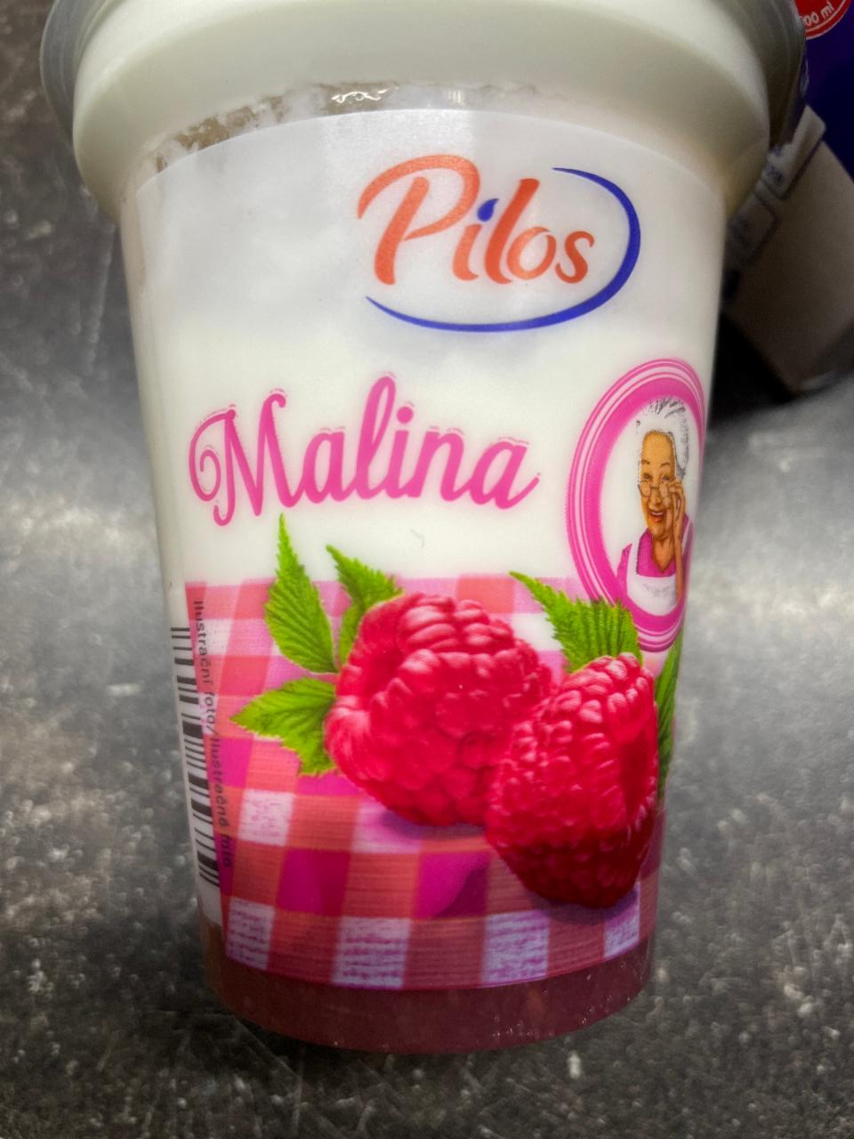 Fotografie - Babiččin jogurt malinový Pilos