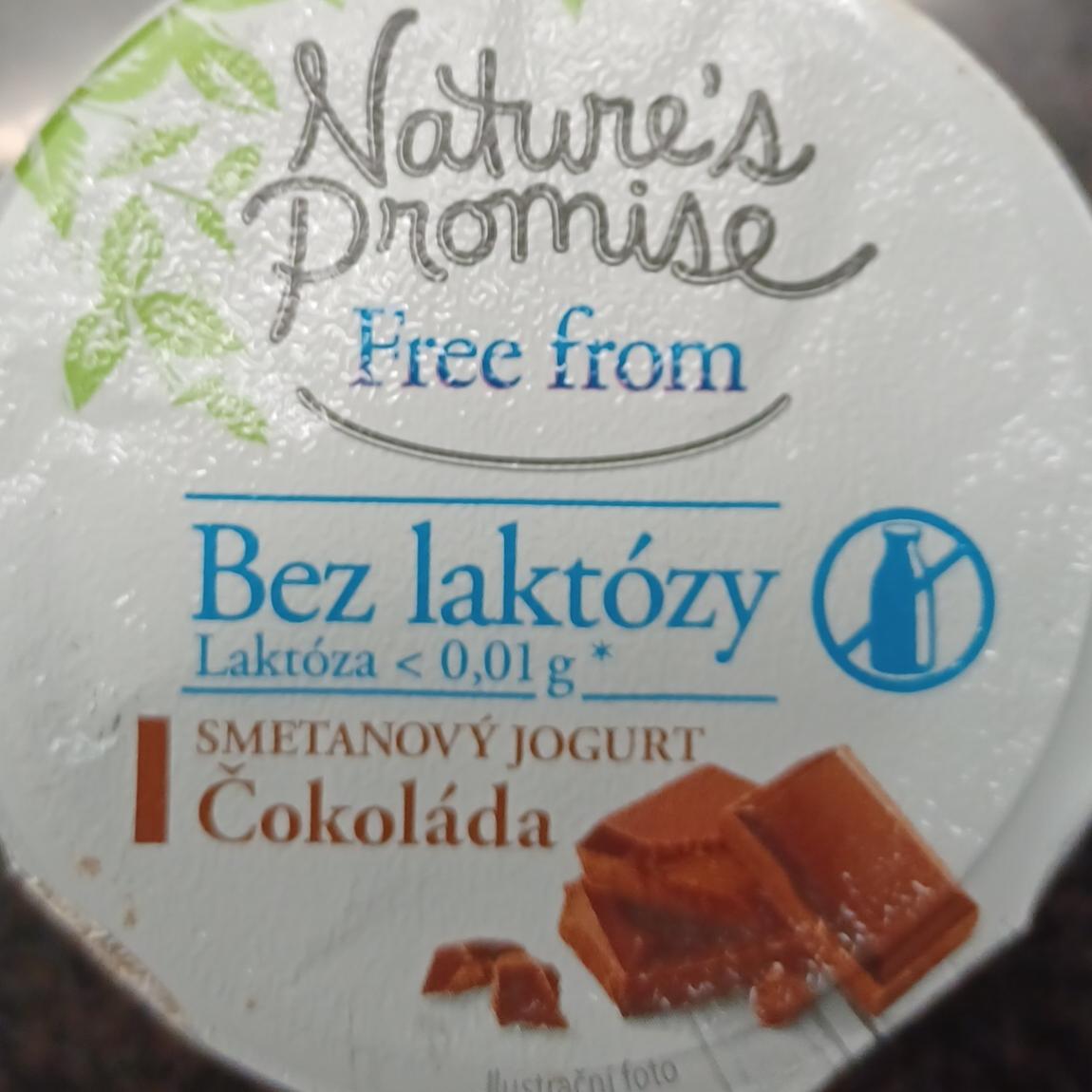 Fotografie - Free from bez laktózy Smetanový jogurt čokoláda Nature's Promise