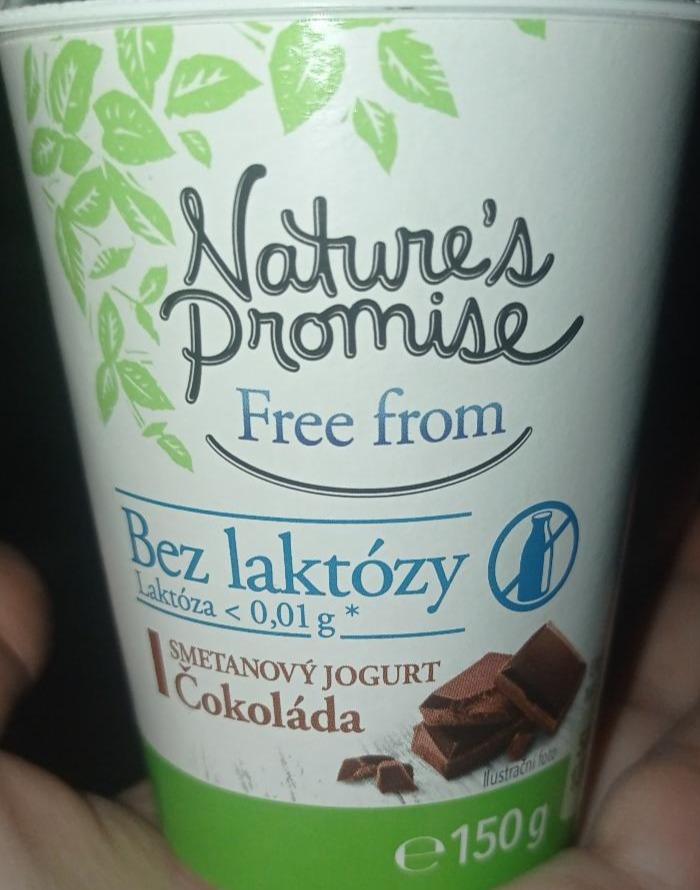 Fotografie - Free from bez laktózy Smetanový jogurt čokoláda Nature's Promise