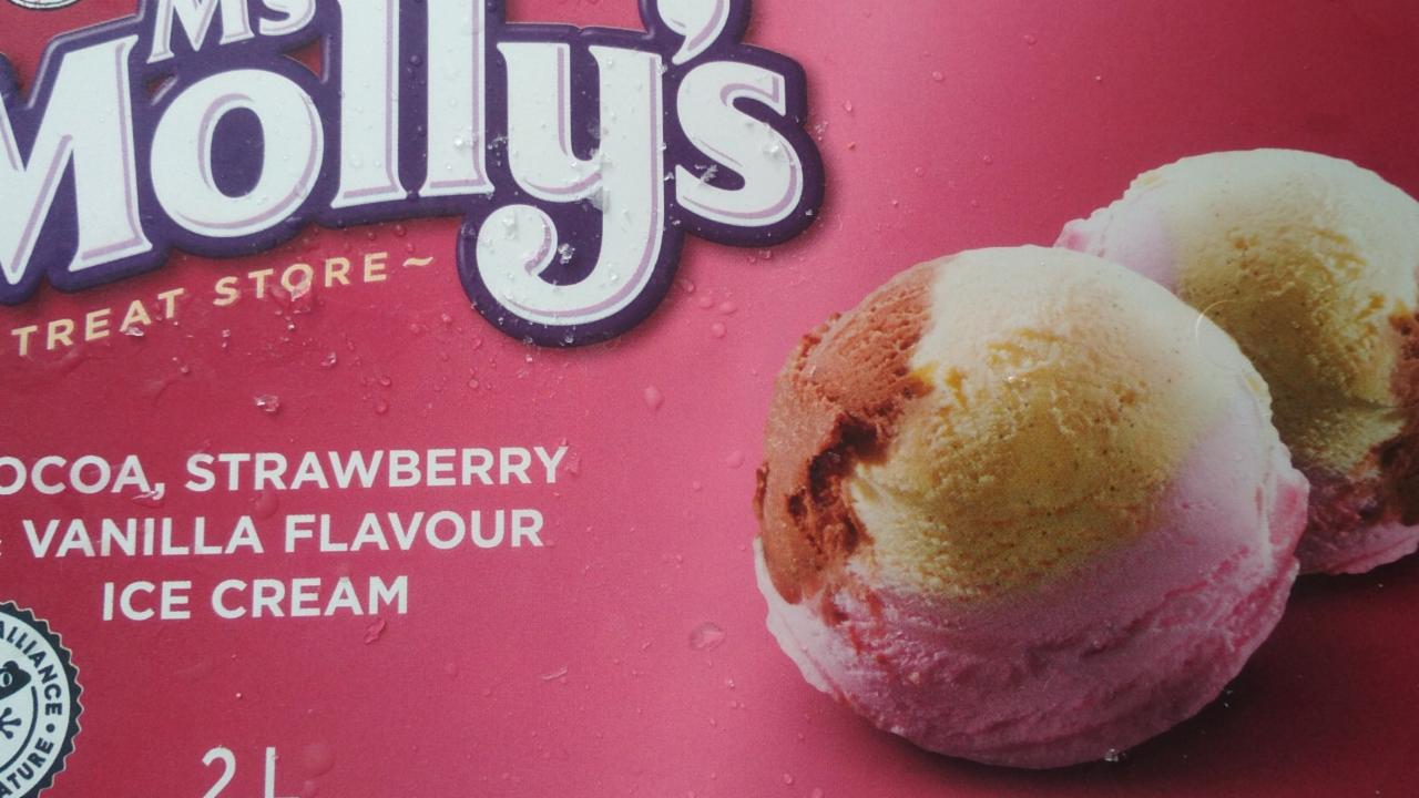 Fotografie - Cocoa Strawberry & Vanilla Flavour Ice Cream Ms Molly's