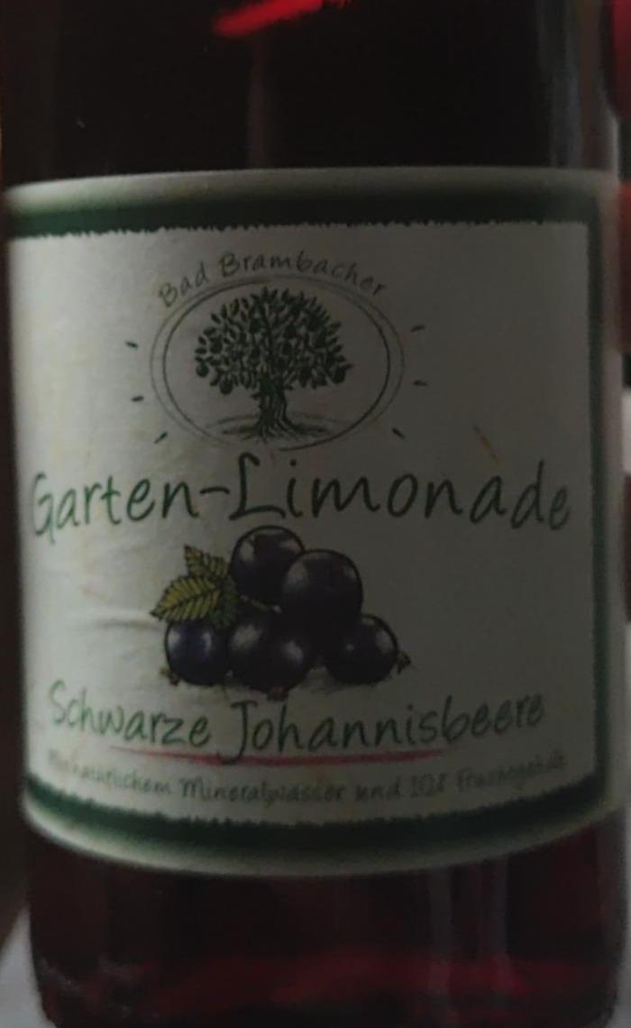 Fotografie - Garten-Limonade Schwarze Johannisbeere Bad Brambacher