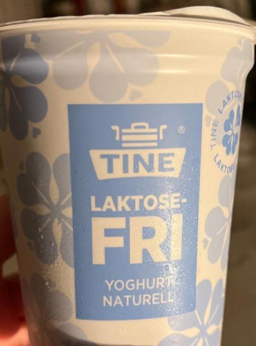 Fotografie - laktosefrei yogurt