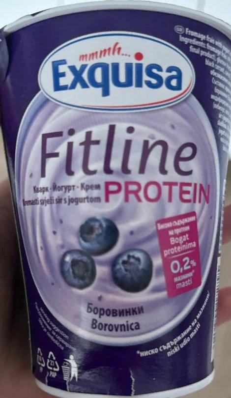Fotografie - Fitline Quark-Joghurt-Creme Protein 0,2% Fett Heidelbeere Exquisa
