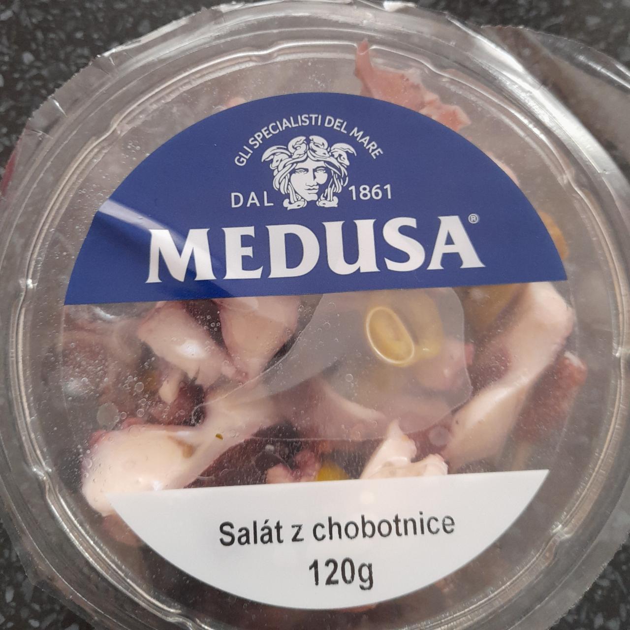 Fotografie - Salát z chobotnice Medusa
