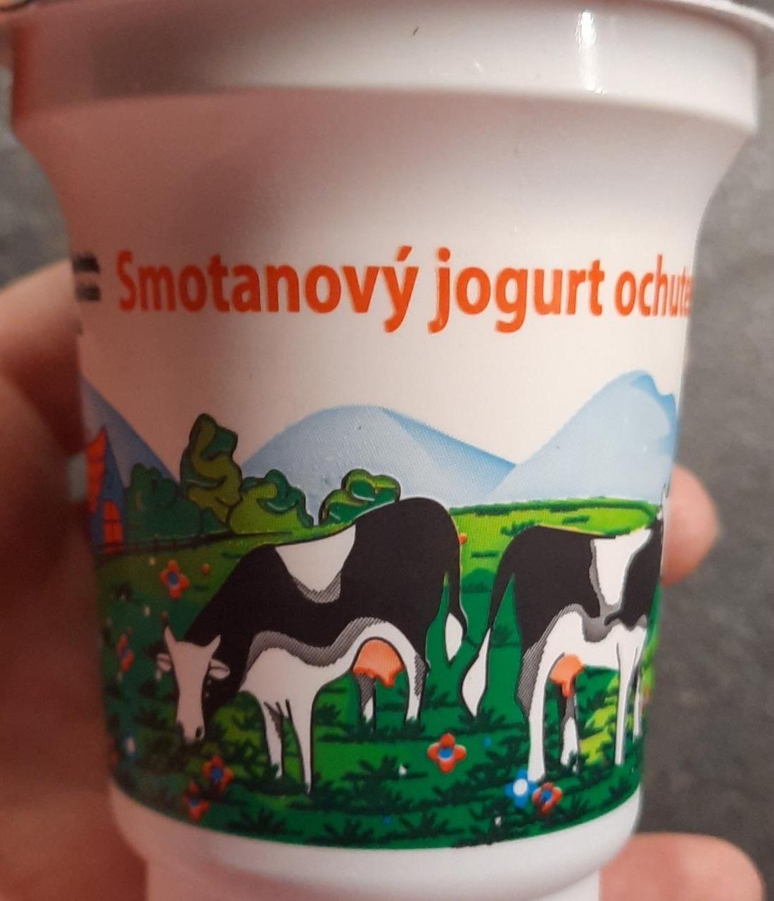 Fotografie - Smotanový jogurt čoko-oriešok PD Lovčica -Trubín