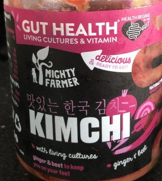 Fotografie - Kimchi Ginger & Beet Gut Health