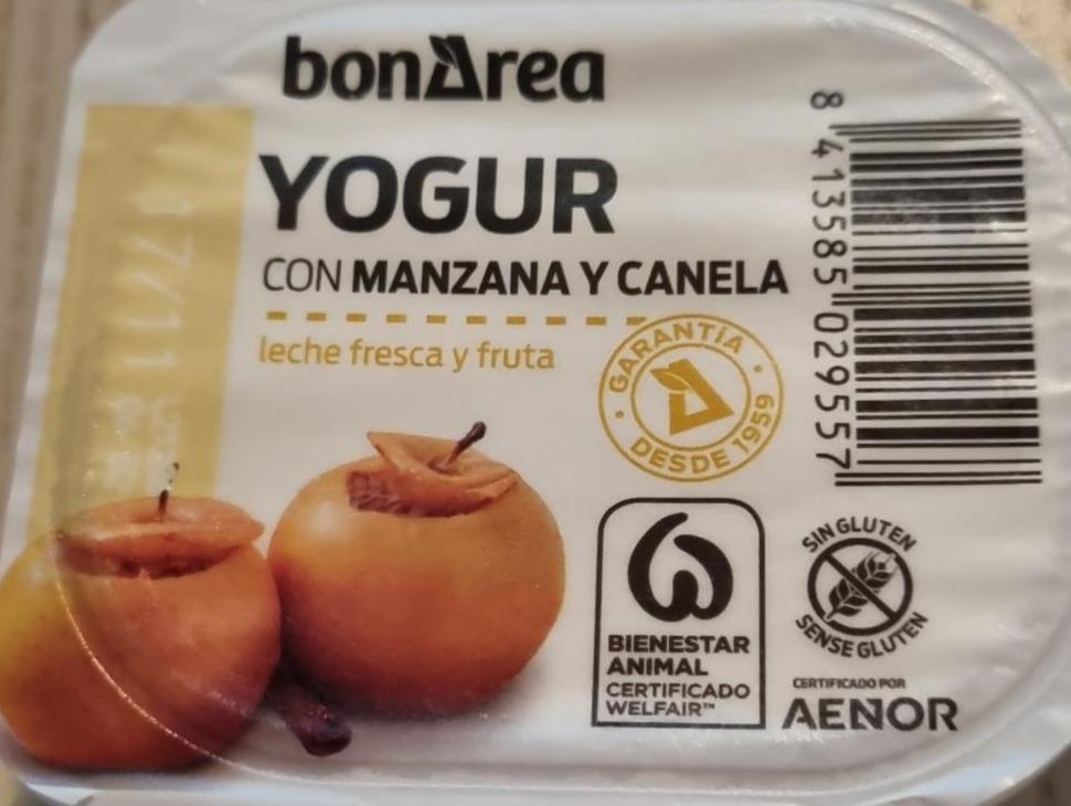 Fotografie - Yogur con manzana y canela leche fresca y fruta BonArea