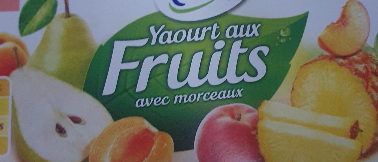 Fotografie - Yaourt aux Fruits avec morceaux Envia
