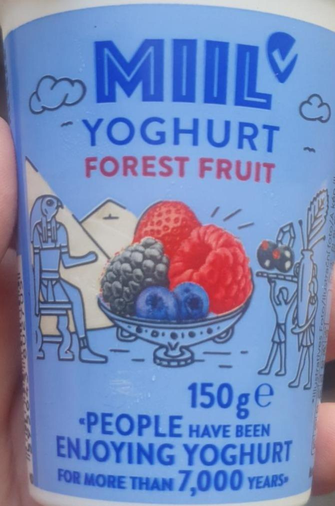 Fotografie - Yoghurt Forest fruit Miil
