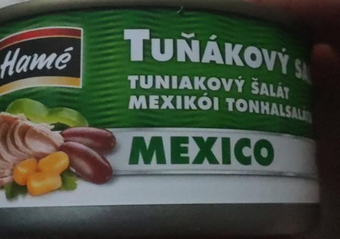Fotografie - tuňákový salát Mexico Hamé