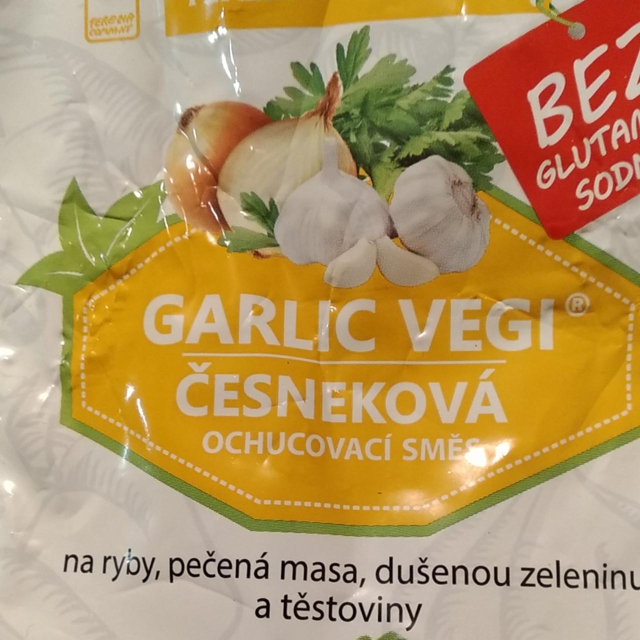 Fotografie - Garlic Vegi česneková ochucovací směs Terezia Company