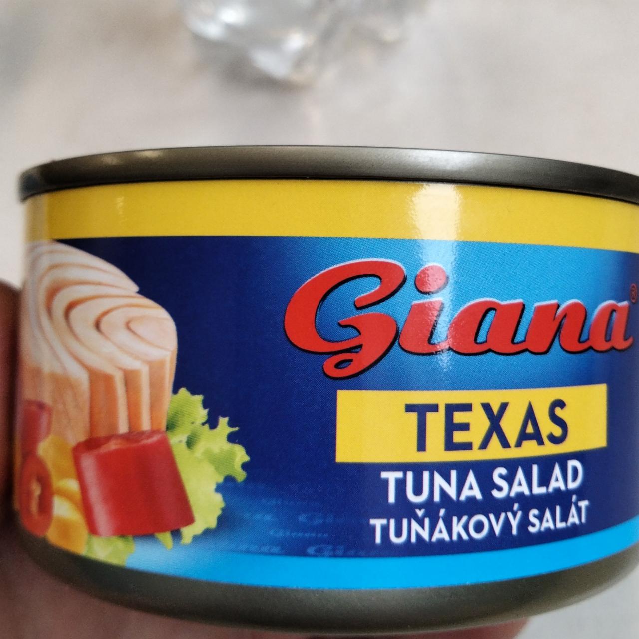 Fotografie - Tuňákový salát Texas Giana