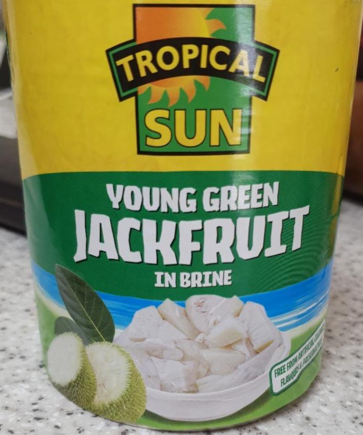 Fotografie - Young Green Jackfruit in Brine Tropical Sun