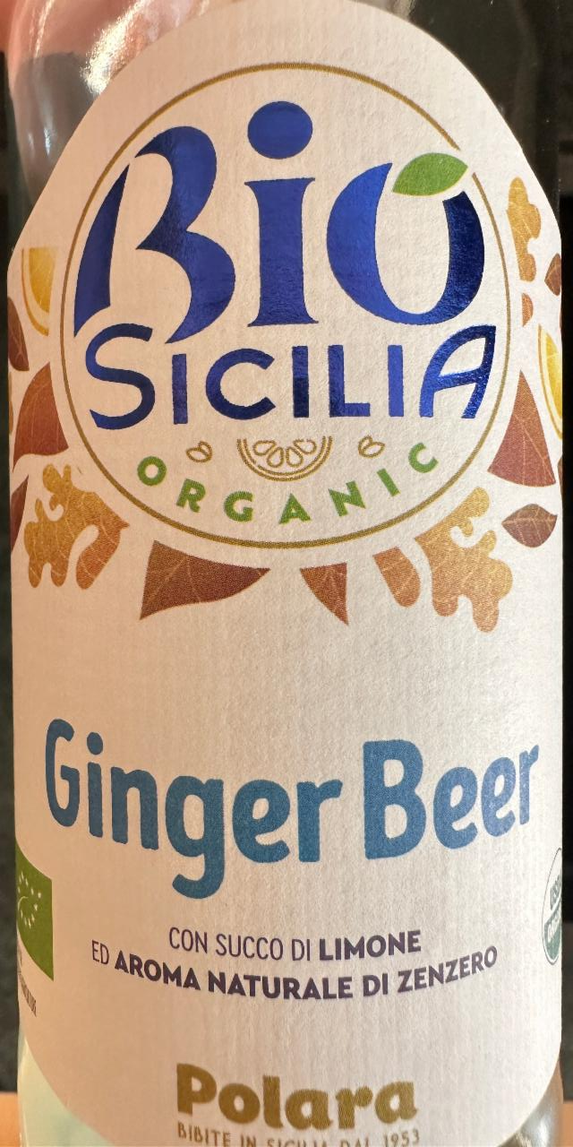 Fotografie - Ginger Beer Bio Sicilia Organic Polara