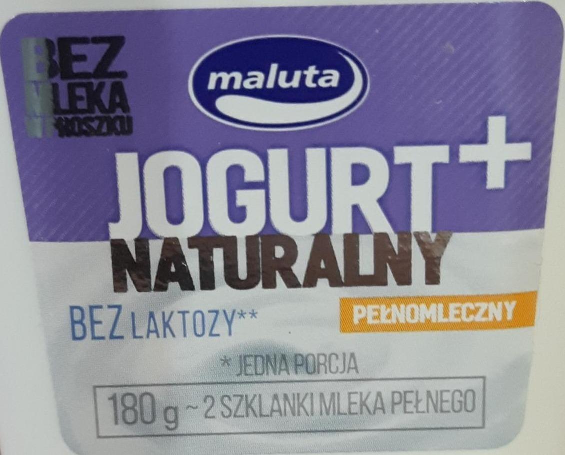 Fotografie - Jogurt naturalny bez laktozy Maluta
