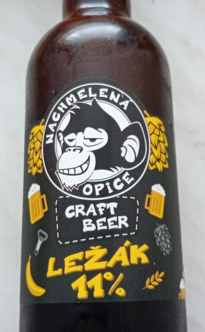 Fotografie - Craft Beer ležák 11% Nachmelená opice