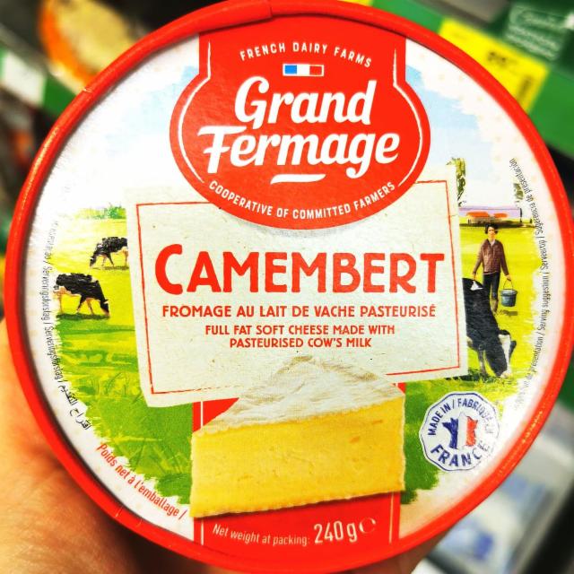 Fotografie - Camembert Grand Fermage