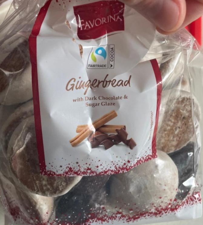 Fotografie - Gingerbread with dark chocolate & sugar glaze Favorina