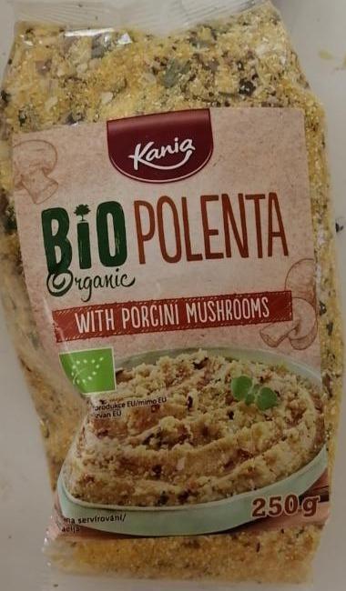 Fotografie - Bio Organic Polenta with porcini mushrooms Kania