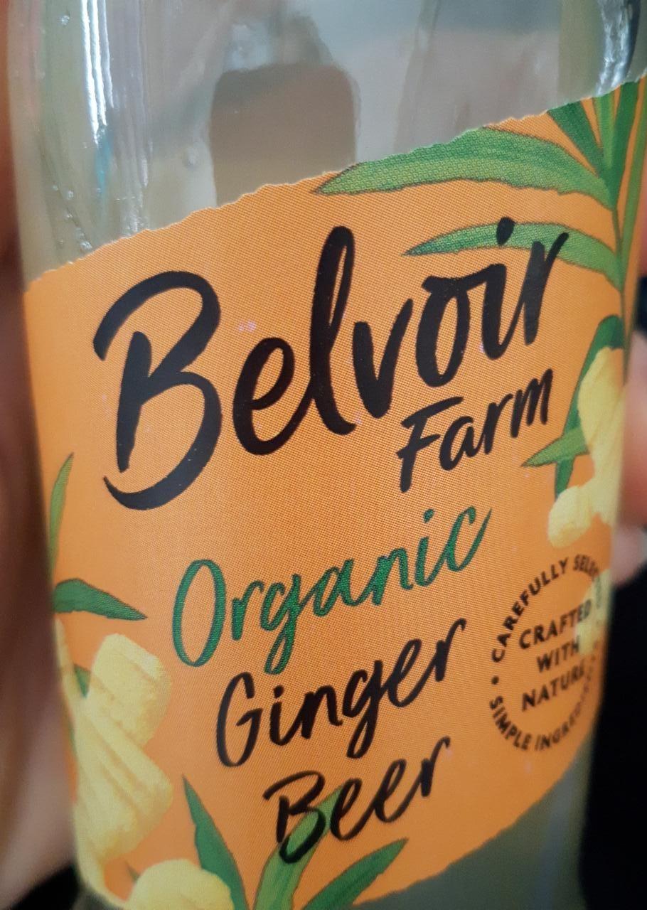 Fotografie - Organic Ginger Beer Belvoir Farm