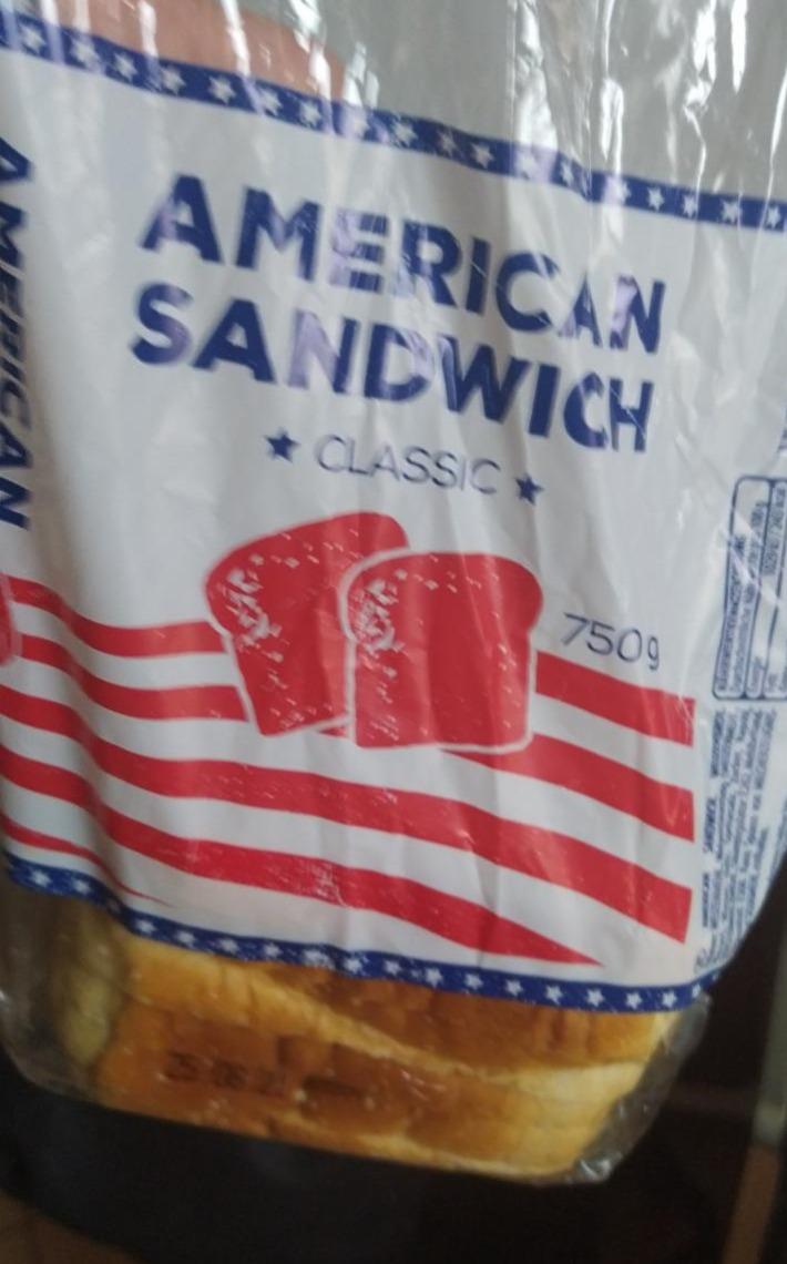 Fotografie - American sandwich classic