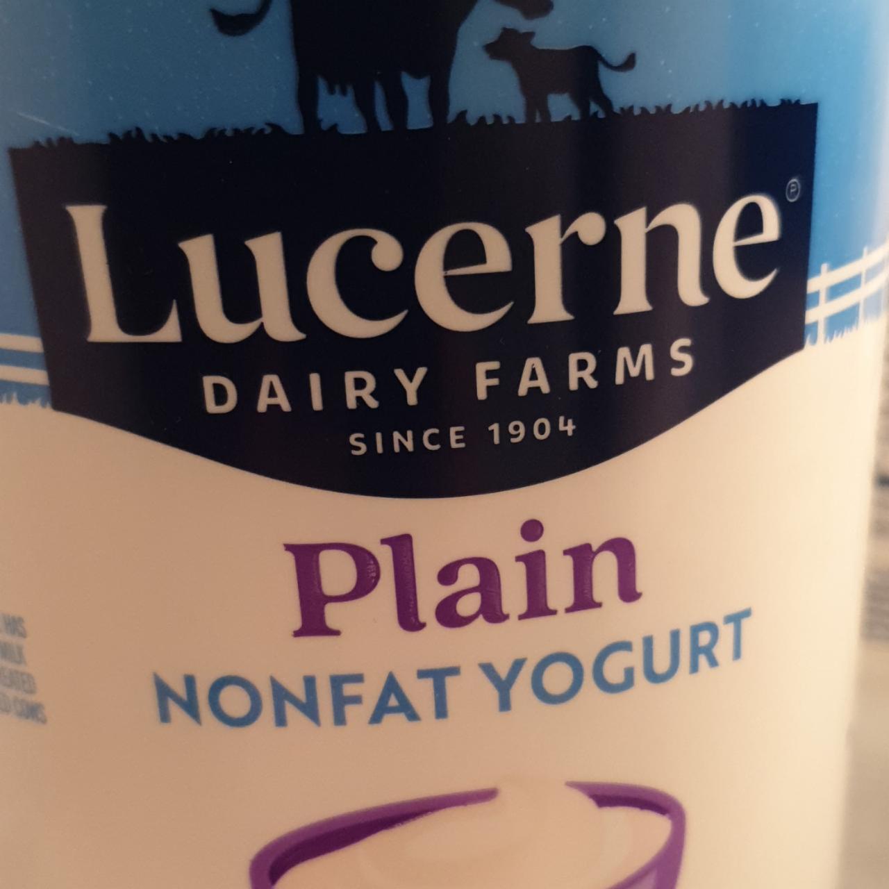 Fotografie - Plain Nonfat Yogurt Lucerne