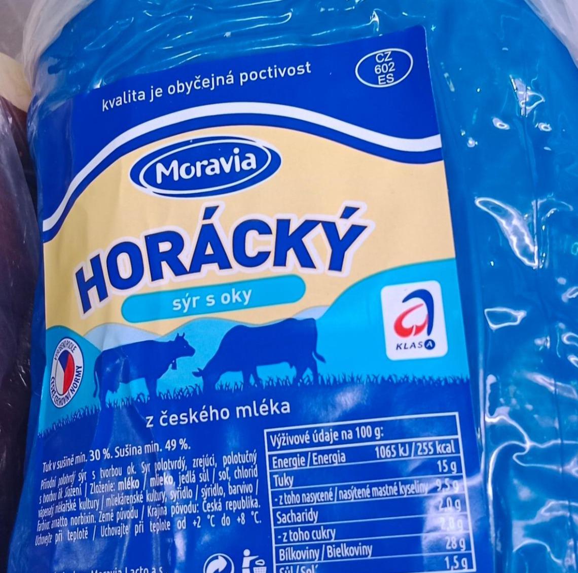Fotografie - Horácký sýr s oky Moravia