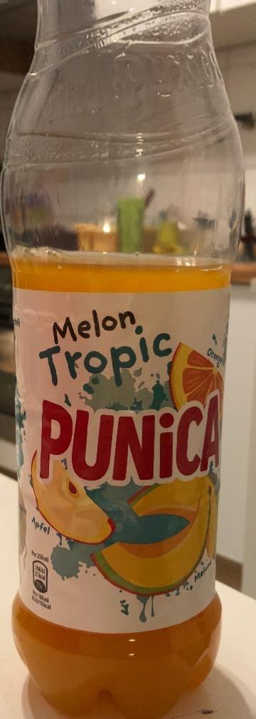 Fotografie - Melon Tropic Punica
