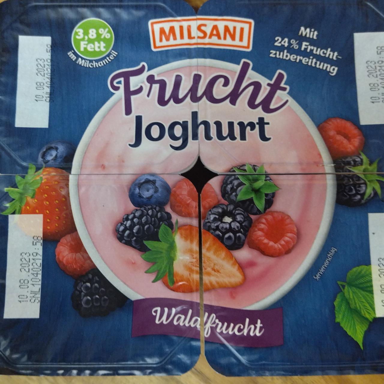 Fotografie - FRUCHT joghurt-Waldfrucht Milsani
