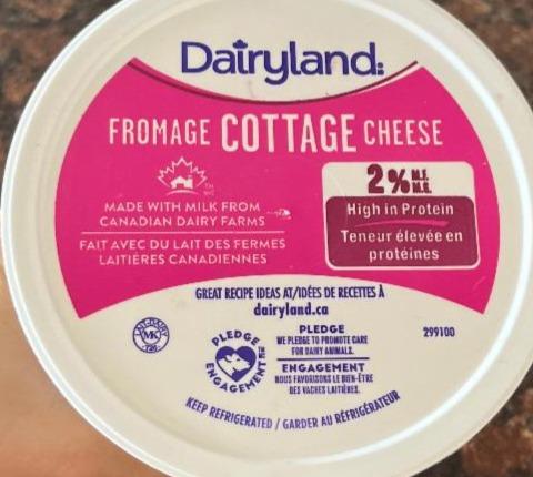 Fotografie - Fromage cottage cheese Dairyland