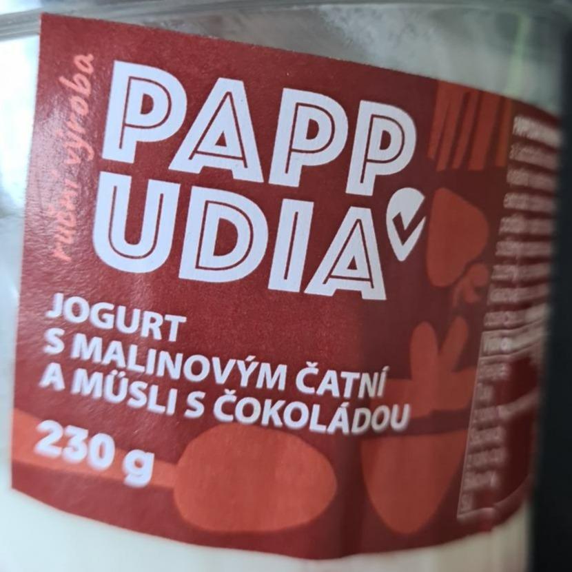 Fotografie - Jogurt s malinovým čatní a müsli s čokoládou Pappudia