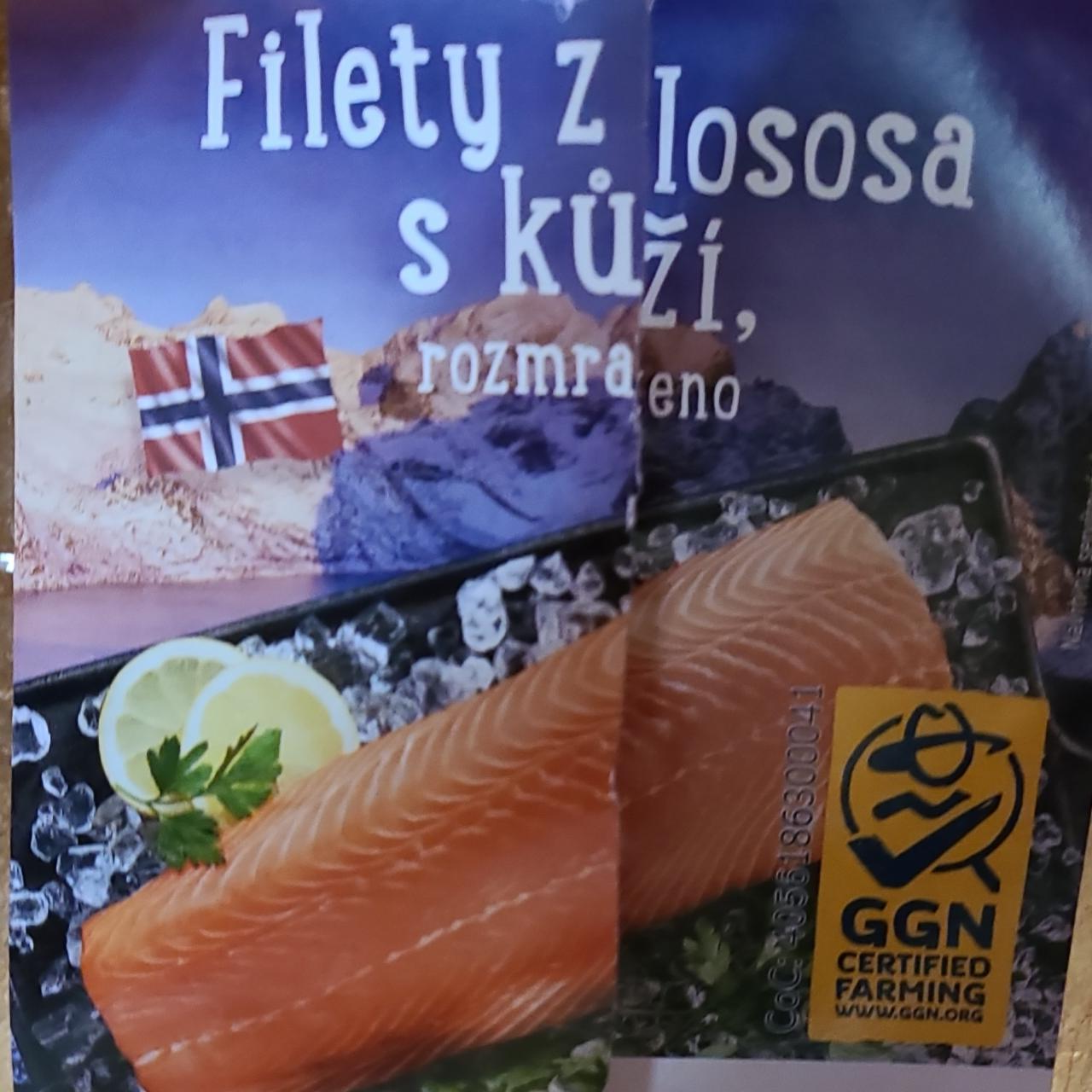 Fotografie - filety z lososa s kůží GGN