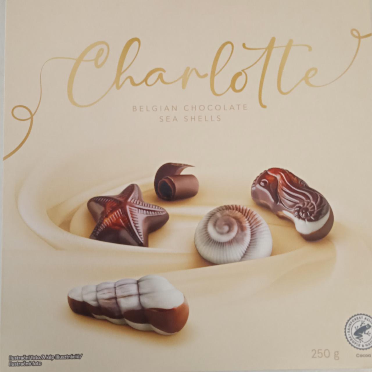 Fotografie - Charlotte belgian chocolate sea shells Tesco