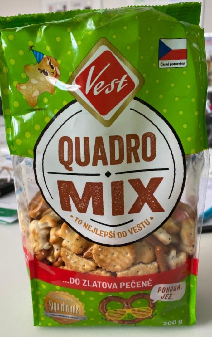 Fotografie - Quadro Mix Vest