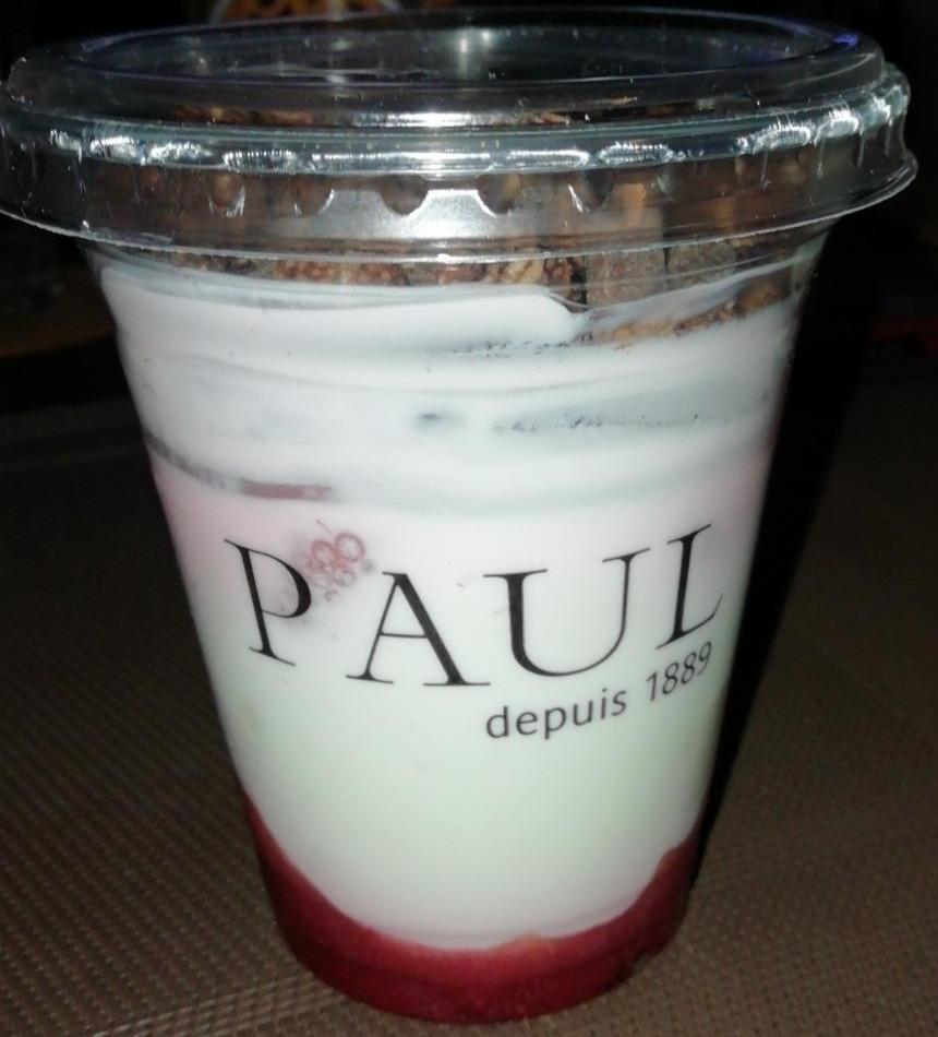 Fotografie - Borůvkový jogurt s müsli Paul