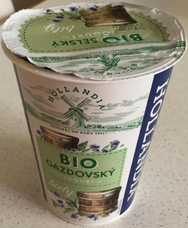 Fotografie - jogurt bílý Bio selský Hollandia